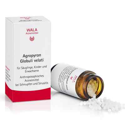 Agropyron Globuli Velati bei apo-discounter.de bestellen