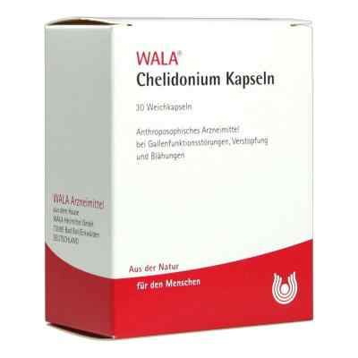 Chelidonium Kapseln bei apo-discounter.de bestellen
