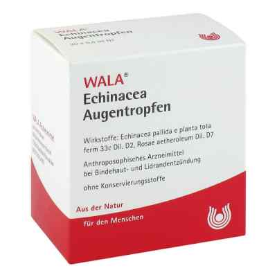 Echinacea Augentropfen bei apo-discounter.de bestellen