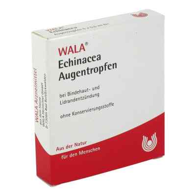 Echinacea Augentropfen bei apo-discounter.de bestellen
