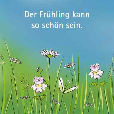 Euphrasia Augentropfen bei apo-discounter.de bestellen