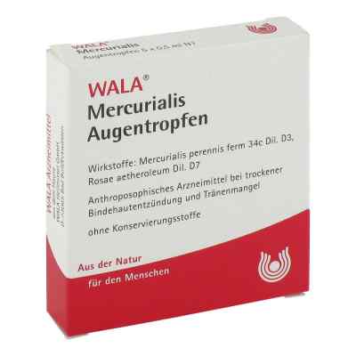Mercurialis Augentropfen bei apo-discounter.de bestellen