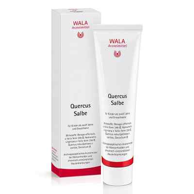 Quercus Salbe bei apo-discounter.de bestellen
