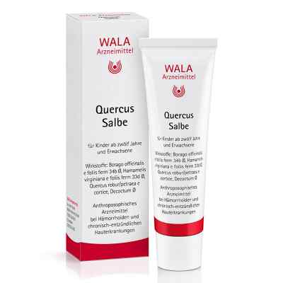Quercus Salbe bei apo-discounter.de bestellen