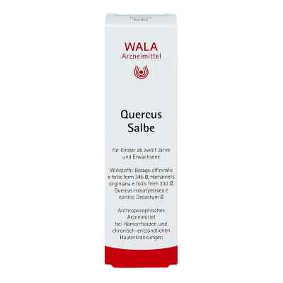 Quercus Salbe bei apo-discounter.de bestellen
