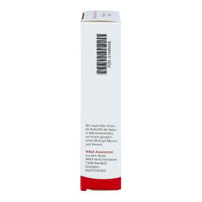 Quercus Salbe bei apo-discounter.de bestellen