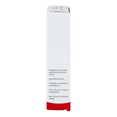 Quercus Salbe bei apo-discounter.de bestellen