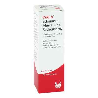 Echinacea Mund U. Rachenspray bei apo-discounter.de bestellen