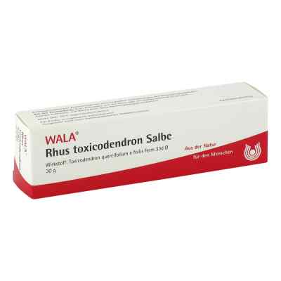 Rhus Tox. Salbe bei apo-discounter.de bestellen