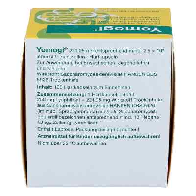Yomogi bei apo-discounter.de bestellen