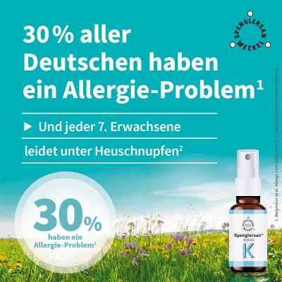 Spenglersan Kolloid K bei apo-discounter.de bestellen