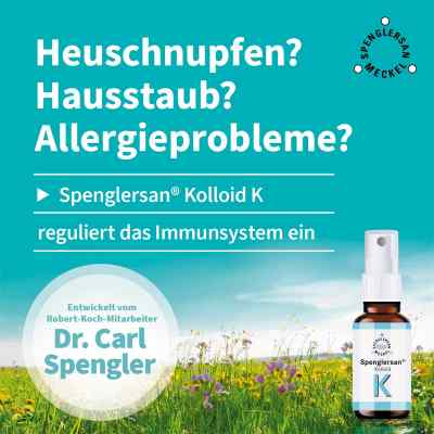 Spenglersan Kolloid K bei apo-discounter.de bestellen