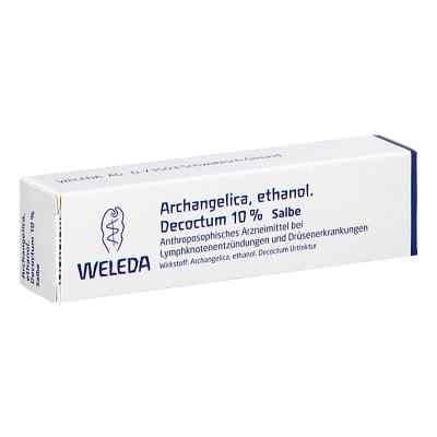 Archangelica 10% Salbe bei apo-discounter.de bestellen