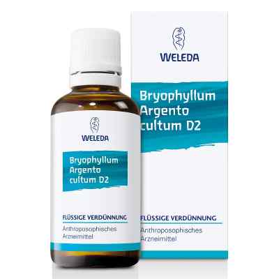 Bryophyllum Argento Cultum Dilution D2 bei apo-discounter.de bestellen