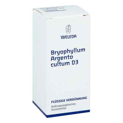 Bryophyllum Argento Cultum Dilution D3 bei apo-discounter.de bestellen