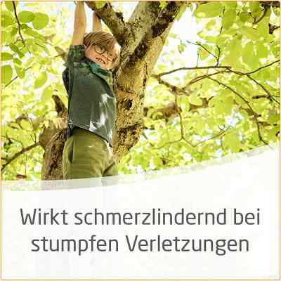 Arnika Salbe 30% bei apo-discounter.de bestellen