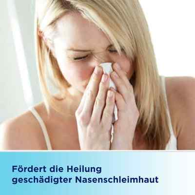Bepanthen Augen- und Nasensalbe bei apo-discounter.de bestellen
