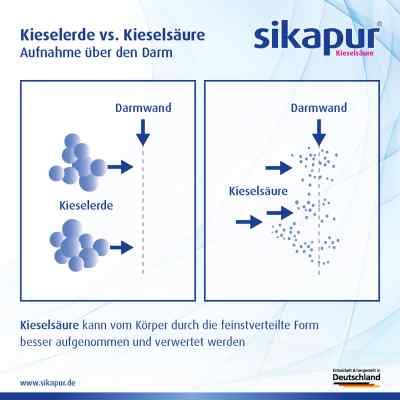 Sikapur Liquidum bei apo-discounter.de bestellen