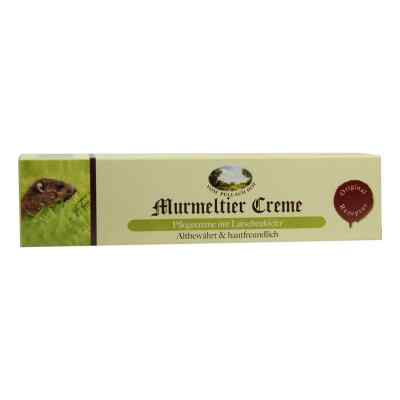 Murmeltier Creme mit Latschenkiefer bei apo-discounter.de bestellen