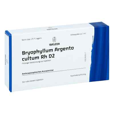 Bryophyllum Argento Cultum Rh D2 Ampullen bei apo-discounter.de bestellen