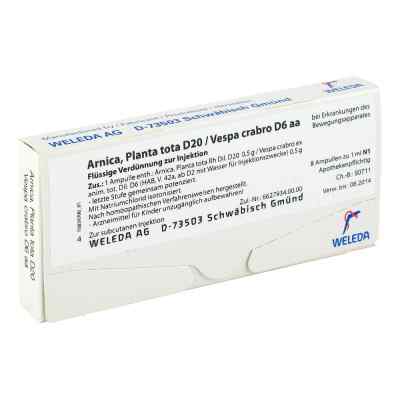 Arnica Planta Tota D20/vespa Crabro D 6 aa Ampullen bei apo-discounter.de bestellen