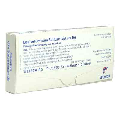 Equisetum Cum Sulf. Tost. D6 Ampullen bei apo-discounter.de bestellen