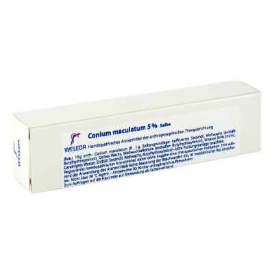 Conium Maculatum 5% Salbe bei apo-discounter.de bestellen