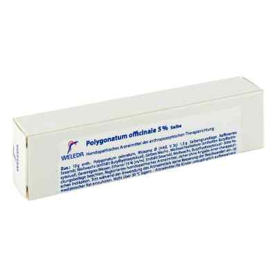 Polygonatum Officinale 5% Salbe bei apo-discounter.de bestellen