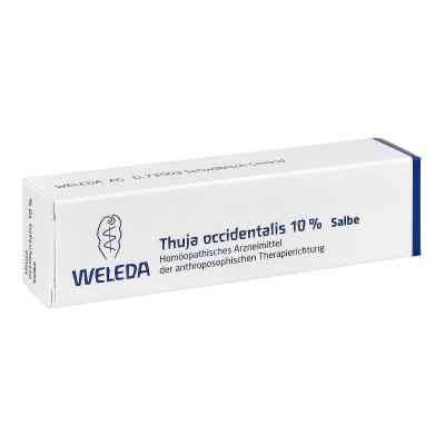 Thuja Occidentalis 10% Salbe bei apo-discounter.de bestellen
