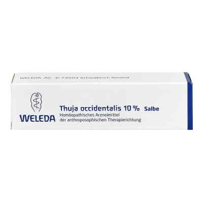 Thuja Occidentalis 10% Salbe bei apo-discounter.de bestellen