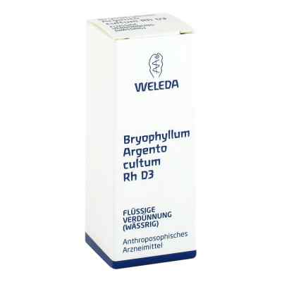 Bryophyllum Argento Cultum Rh D3 Dilution bei apo-discounter.de bestellen
