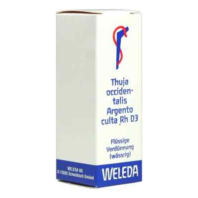 Thuja Occidentalis Argento culta Rh D3 Dilution bei apo-discounter.de bestellen