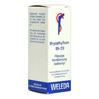 Bryophyllum Rh D3 Dilution bei apo-discounter.de bestellen