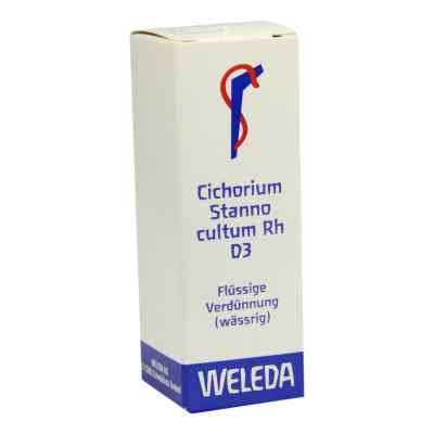 Cichorium Stanno Cultum Rh D3 Dilution bei apo-discounter.de bestellen