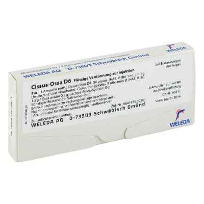 Cissus-ossa D6 Ampullen bei apo-discounter.de bestellen