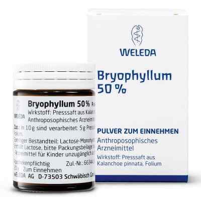 Bryophyllum 50% Pulver zum Einnehmen bei apo-discounter.de bestellen