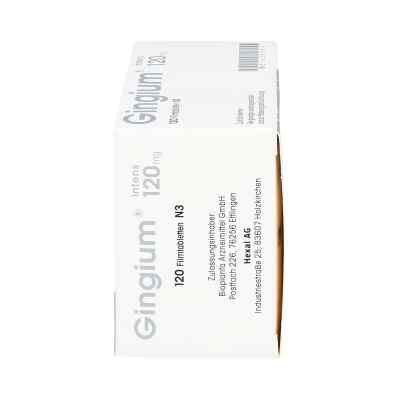Gingium intens 120mg bei apo-discounter.de bestellen