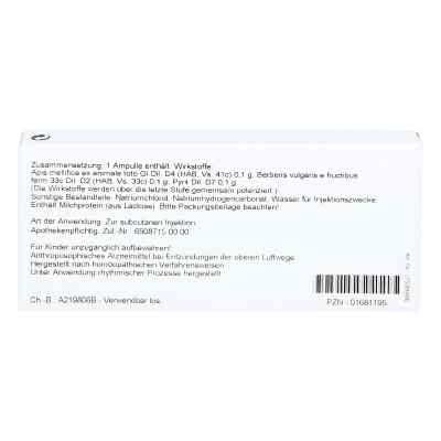 Berberis/pyrit Comp. Ampullen bei apo-discounter.de bestellen