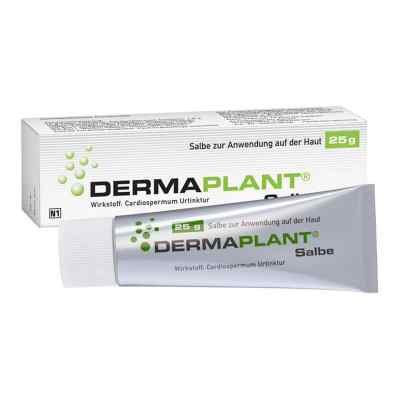 Dermaplant Salbe bei apo-discounter.de bestellen