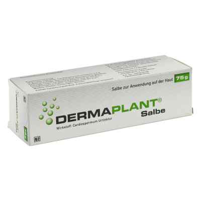 Dermaplant Salbe bei apo-discounter.de bestellen