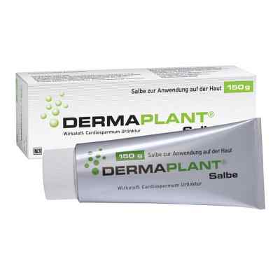 Dermaplant Salbe bei apo-discounter.de bestellen