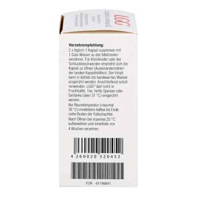 Lgg Kapseln bei apo-discounter.de bestellen