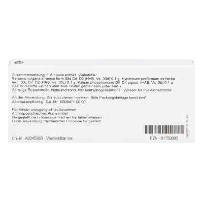 Berberis/hypericum Comp. Ampullen bei apo-discounter.de bestellen