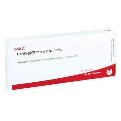 Cartilago/mandragora compositus Ampullen bei apo-discounter.de bestellen