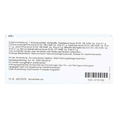 Cerebrum Comp. B Ampullen bei apo-discounter.de bestellen
