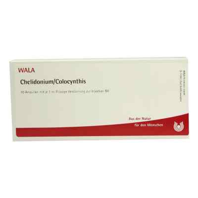Chelidonium/colocynthis Ampullen bei apo-discounter.de bestellen