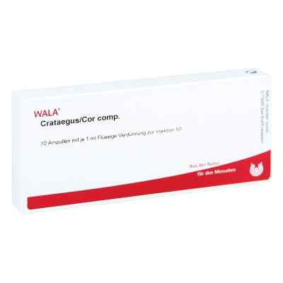 Crataegus Cor Comp. Ampullen bei apo-discounter.de bestellen