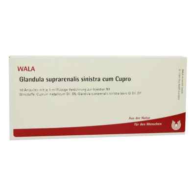 Glandula Supraren. Sinis. cum Cupro Ampullen bei apo-discounter.de bestellen