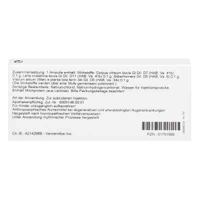 Hornerz/ Corpus Vitreum Comp. Ampullen bei apo-discounter.de bestellen