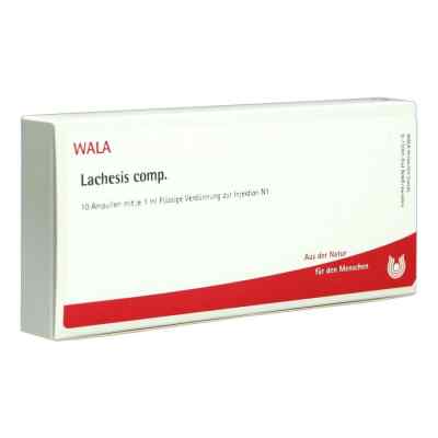 Lachesis Comp. Ampullen bei apo-discounter.de bestellen